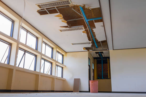Trusted Northville, MI Water damage restoration Experts
