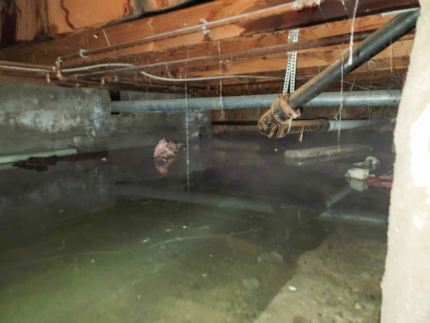 Best Emergency water damage restoration  in Northville, MI