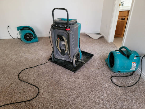 Best Carpet water damage restoration  in Northville, MI