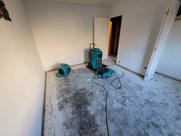 Best Basement water damage restoration  in Northville, MI