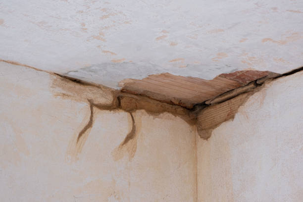  Northville, MI Water damage restoration Pros