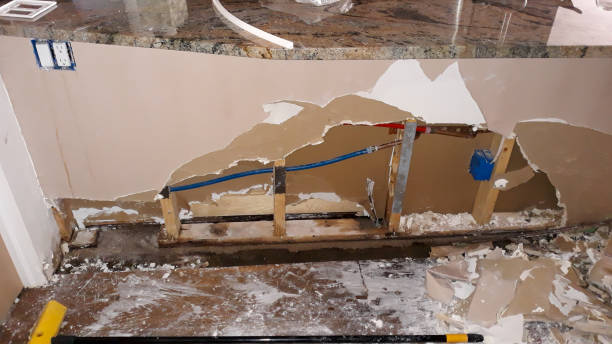 Best 24/7 water damage repair  in Northville, MI