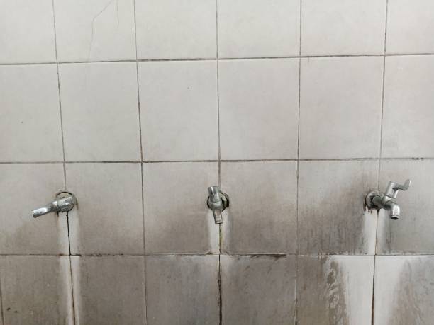 Best Commercial water damage restoration  in Northville, MI