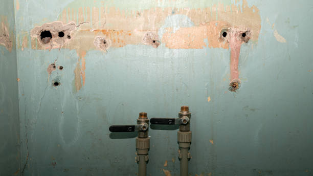 Best Water damage restoration near me  in Northville, MI